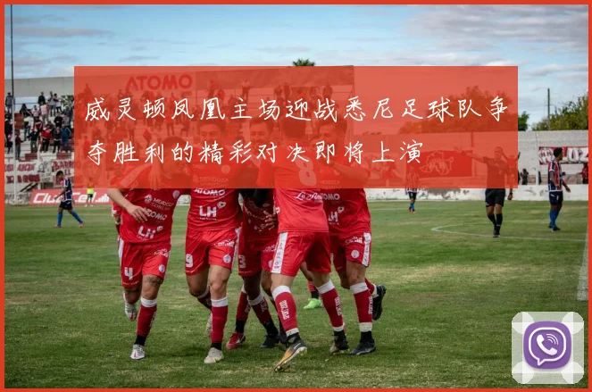 威灵顿凤凰主场迎战悉尼足球队争夺胜利的精彩对决即将上演