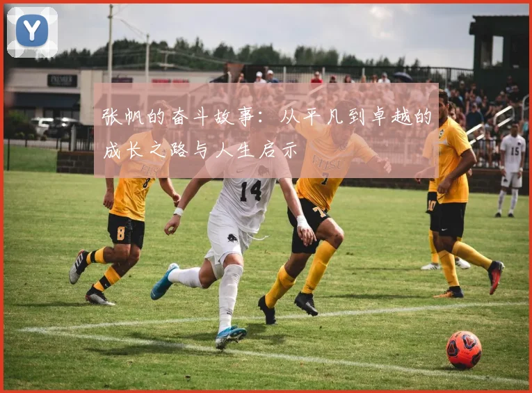 张帆的奋斗故事：从平凡到卓越的成长之路与人生启示