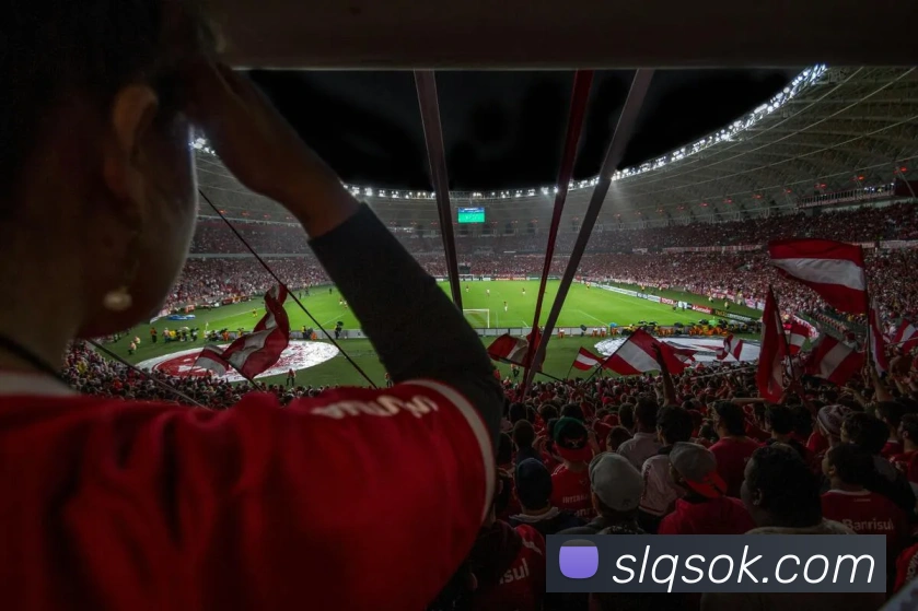 678体育平台生态图