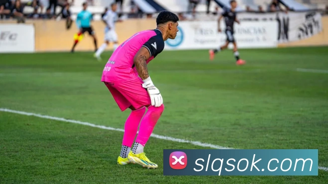 678体育APP 封面图