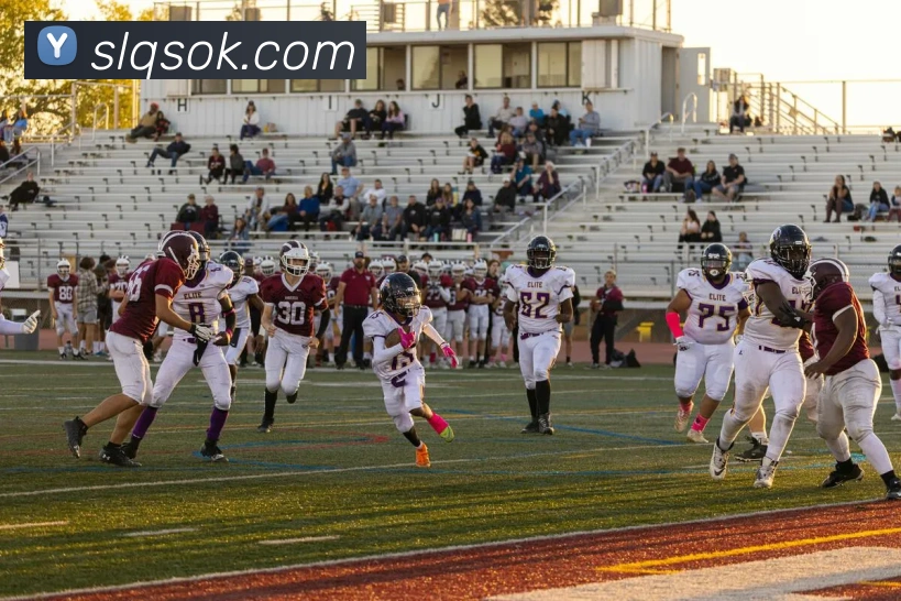 数据防护可视化